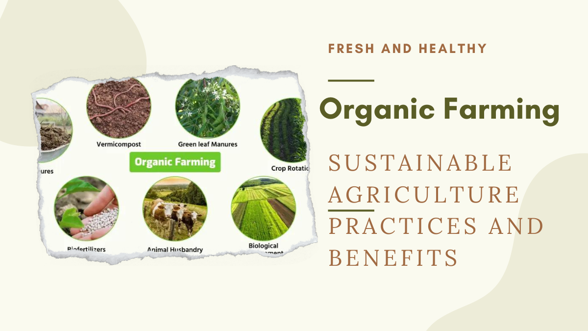 Organic Farming: Sustainable Agriculture Practices and Benefits