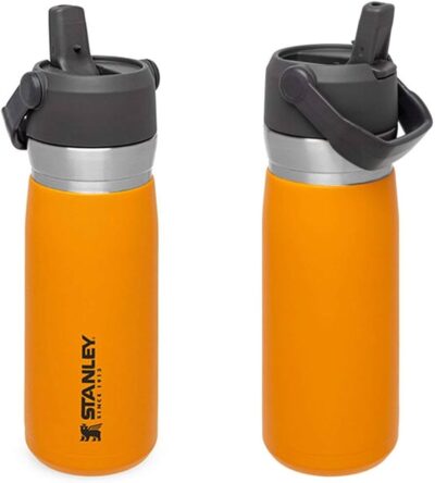 Stanley Water Bottle