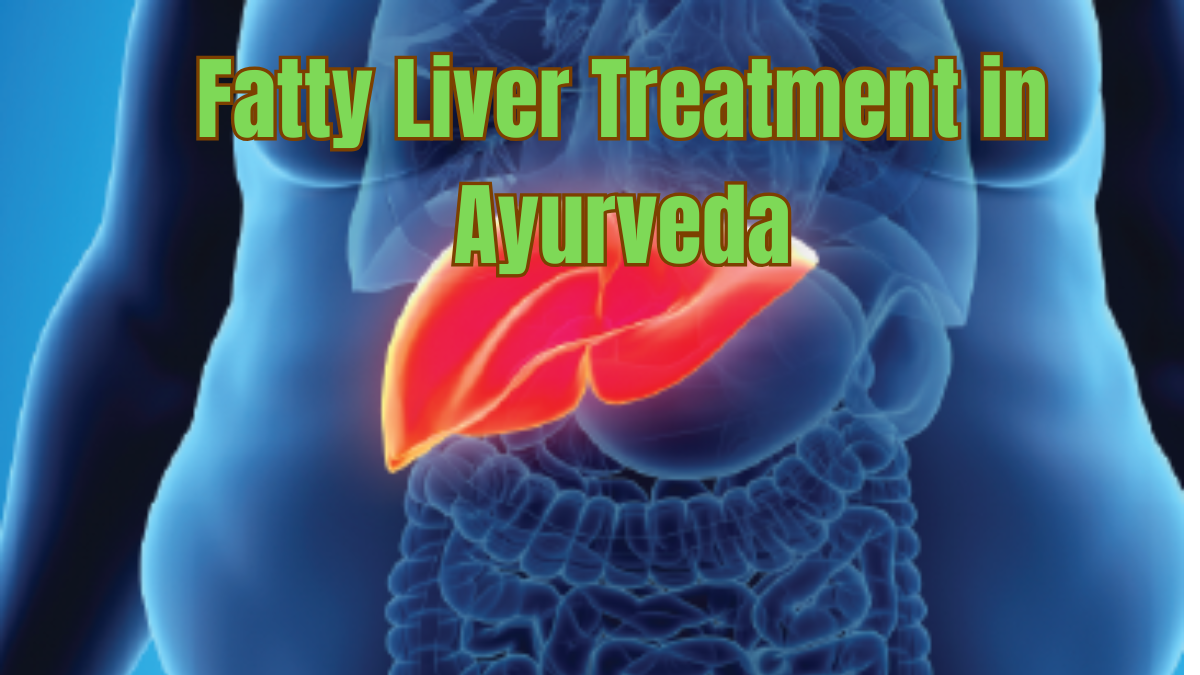 Fatty Liver Treatment in Ayurveda